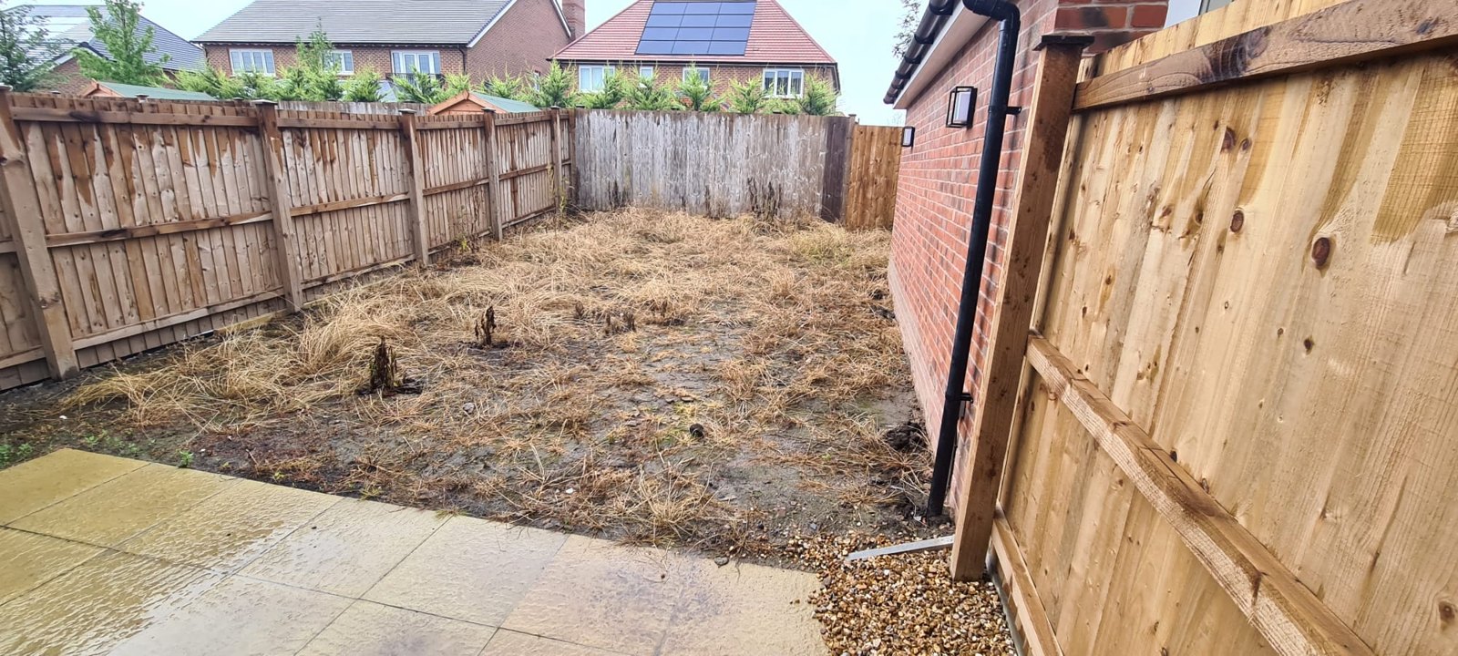 The garden before work started